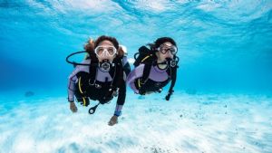 https://www.prodive.com.au/Sydney+-+Brookvale/Shore+Dives/Guided+Shore+Dives+(Double+Dive)+-+Sydney+-+Brookvale/140